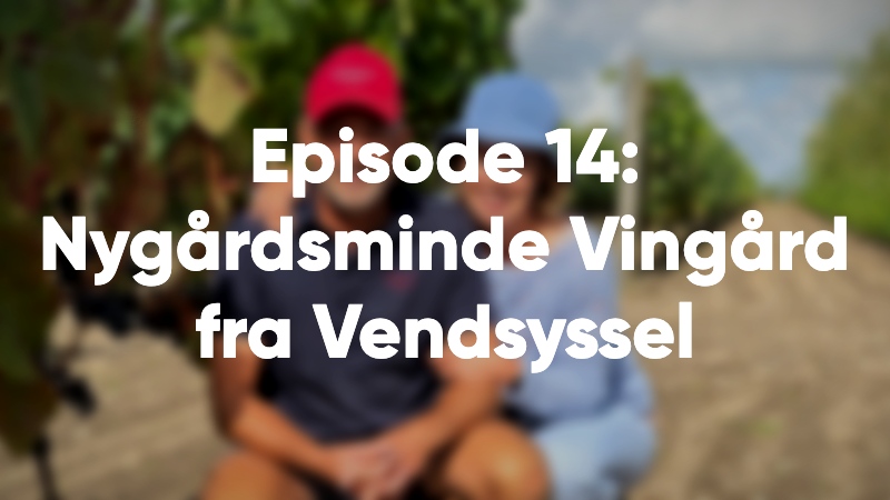 Episode 14: Nygårdsminde Vingård fra Vendsyssel